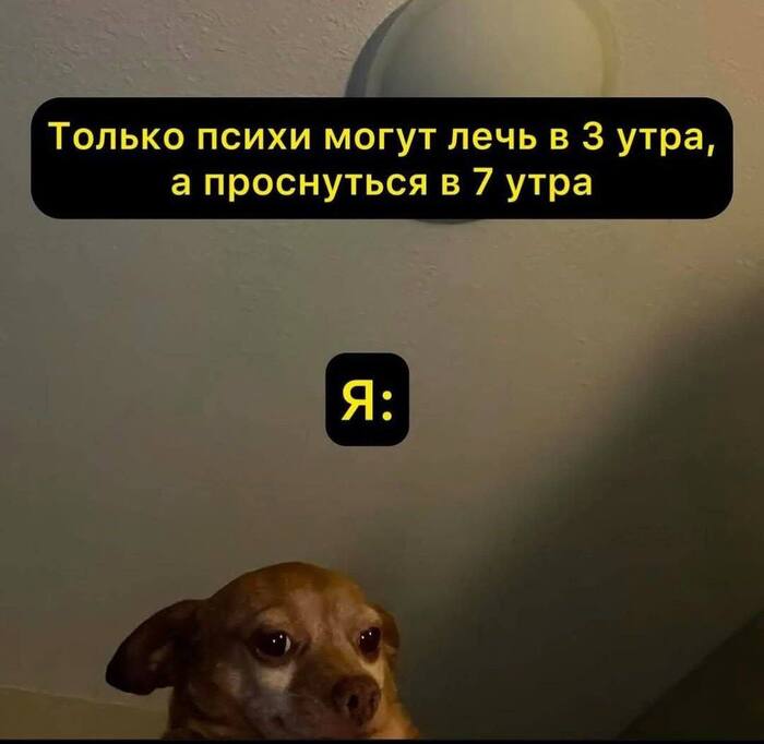             , ,   , AliExpress