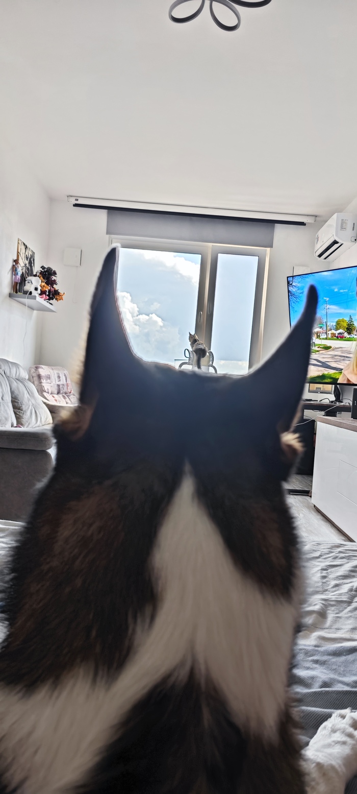 �������������