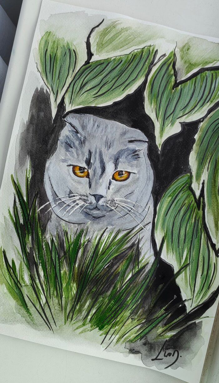 ����������� #74 � ������ �� ������