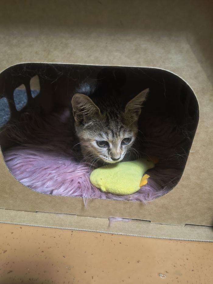 �������� ������ �� ������� �������, � ������ ��� ����������� 