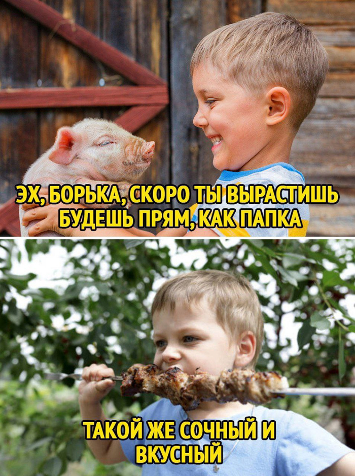 ,     , , , , Telegram (), , ,  