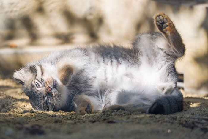 Ну и кому не спится в такую рань?