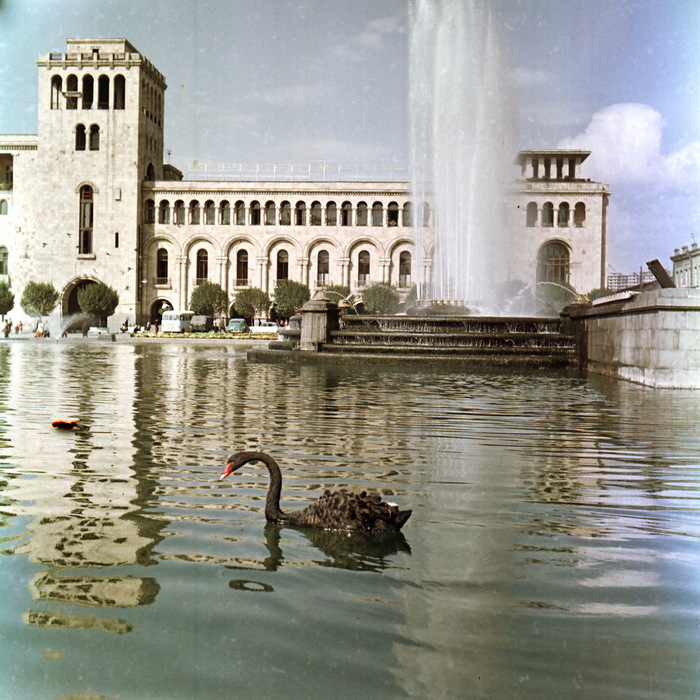   #15. ,   .   1960-80   ,  , , , ,  , 20 ,  , , 60-, 70-, 80-, 