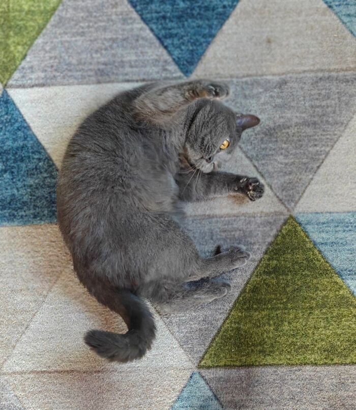    ,    ,  ,  , , 