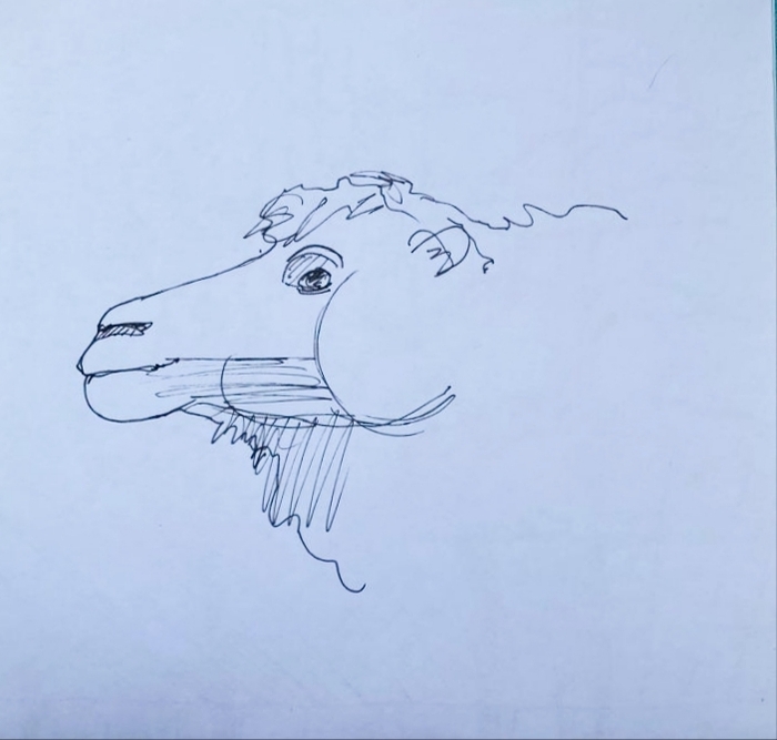 .  ׸ ,  Luboff00, , , ,  ,  , , 