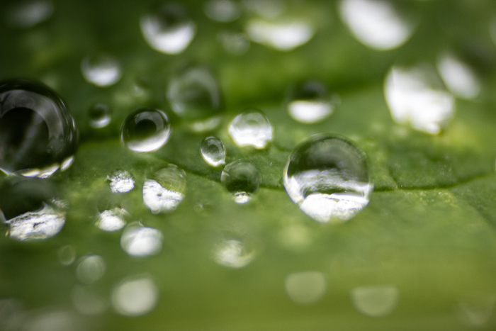 �������� ���� (�����)