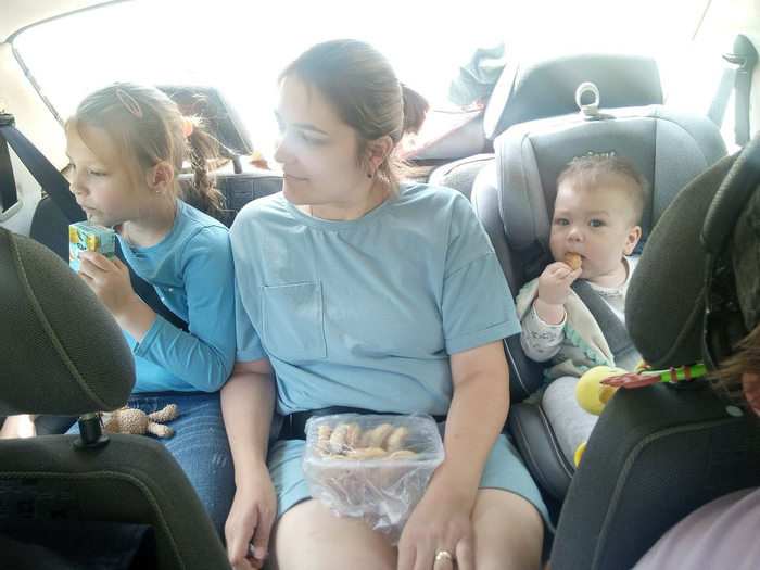  ,    ,        Stronghold.