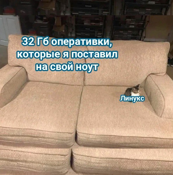     100   ,   , , Linux, IT , Telegram ()