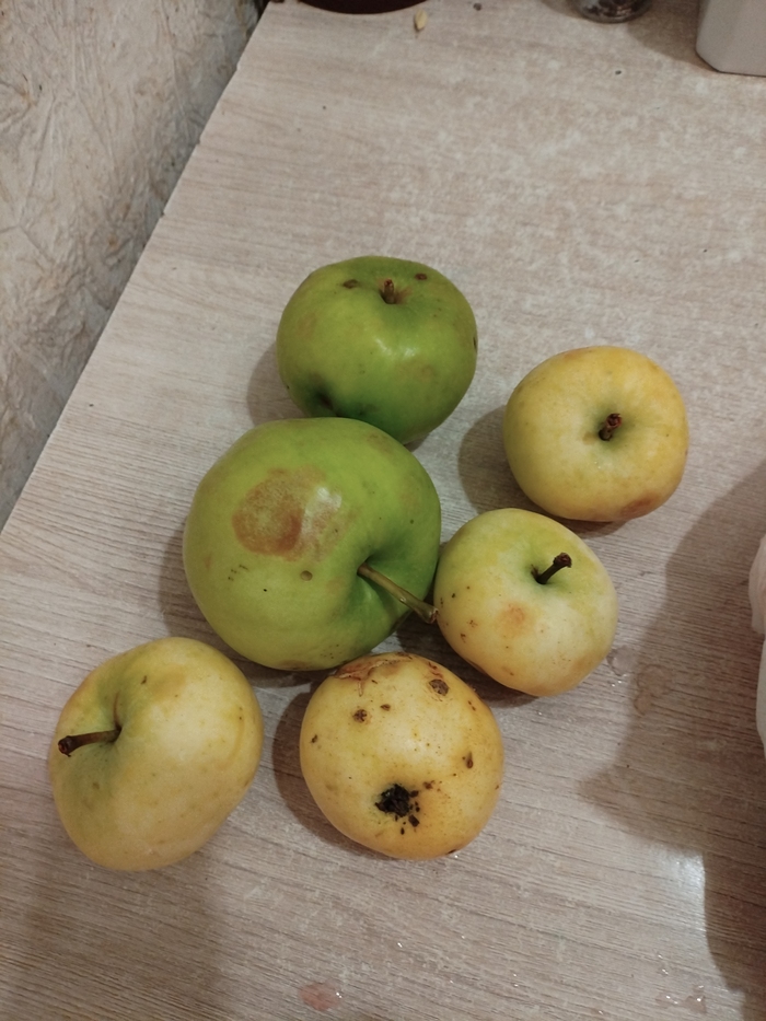    -  ,  ,    ,  .    -  . 