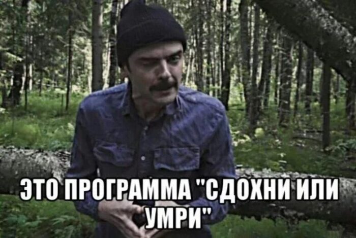 11 ������� �����, ������� ���������� ����� � �� (�����-������� ��� �� �����)