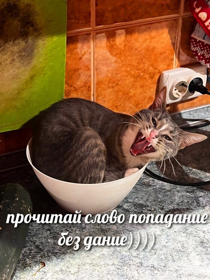 )))) ,  , , 