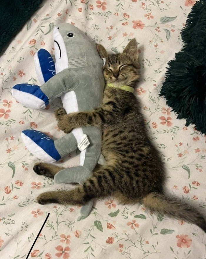 &quot;    . , @!&quot;