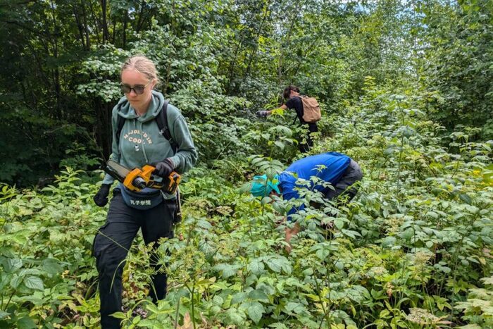 Марина Булатова на расчистке зарослей малины рядом с поселком Яблоневый Овраг