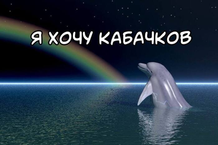    , , Photoshop, ,  