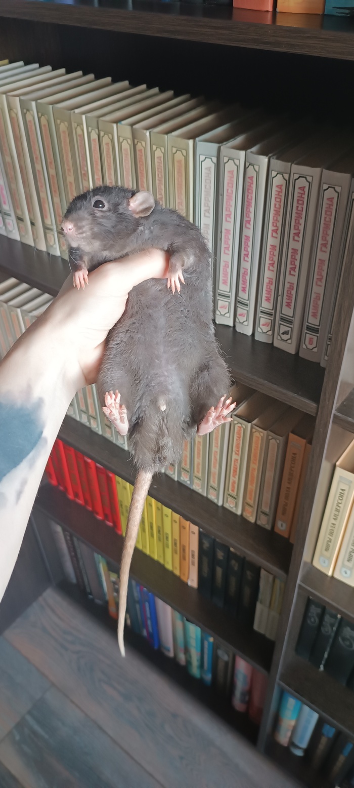  , , ,  ,  , 