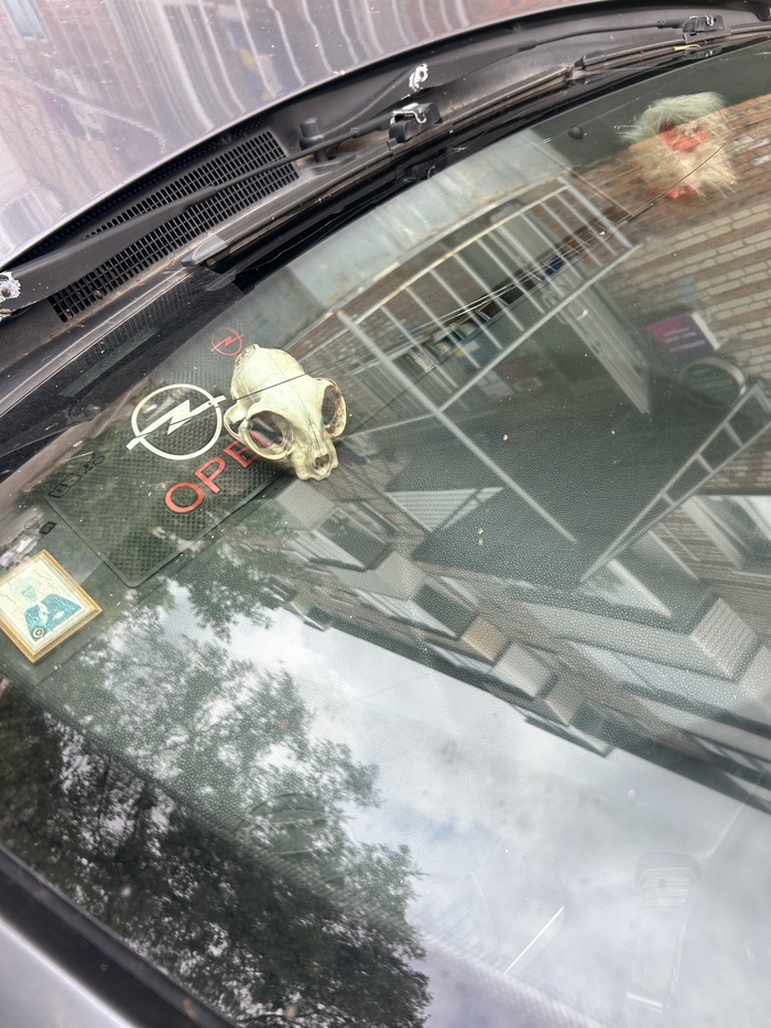 А чем ты украшаешь панель приборов автомобиля?