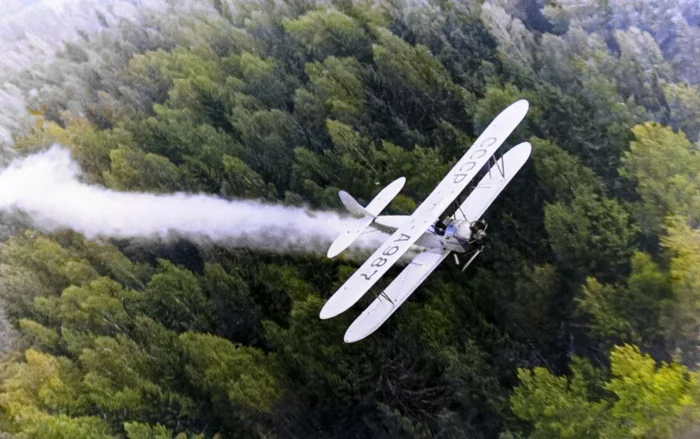 Подборка простых и потрясающих фотографий эпохи СССР. 20 раскрашенных фотографий. Часть 28 20 век, Старое фото, Фотография, СССР, Сделано в СССР, Детство в СССР, 60-е, 70-е, 80-е, 50-е, 40-е, Колоризация, Длиннопост