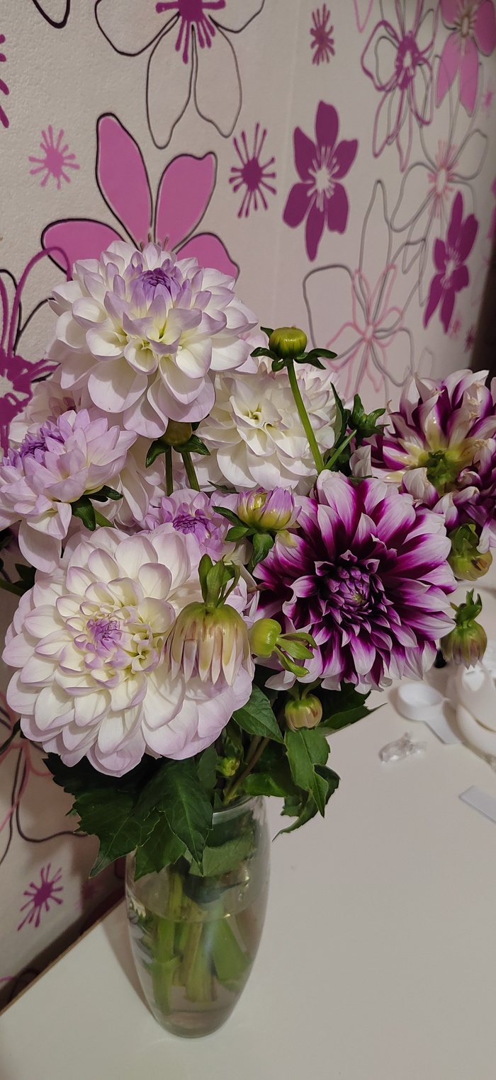 26 лет День рождения, Длиннопост, Фотография