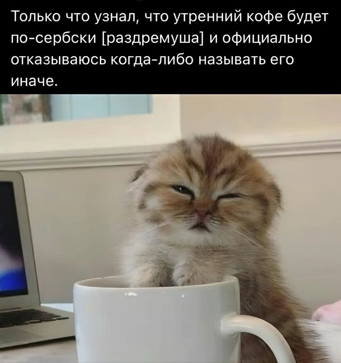 ,    , ,   , ,  