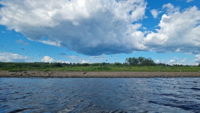 Цепная реакция в действии. Было очень громко!