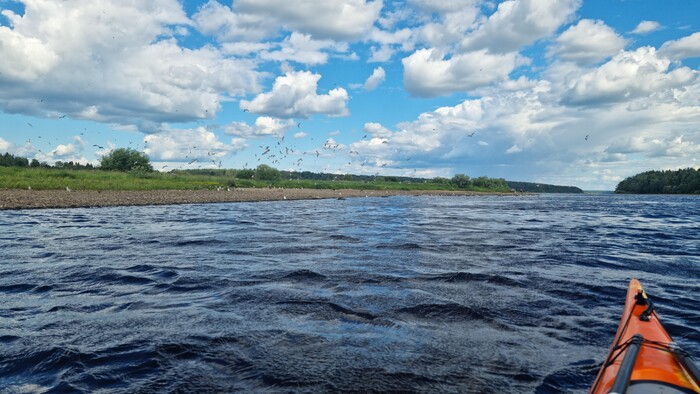 Я, видимо, им сильно не понравился. Чувствую себя мишенью.