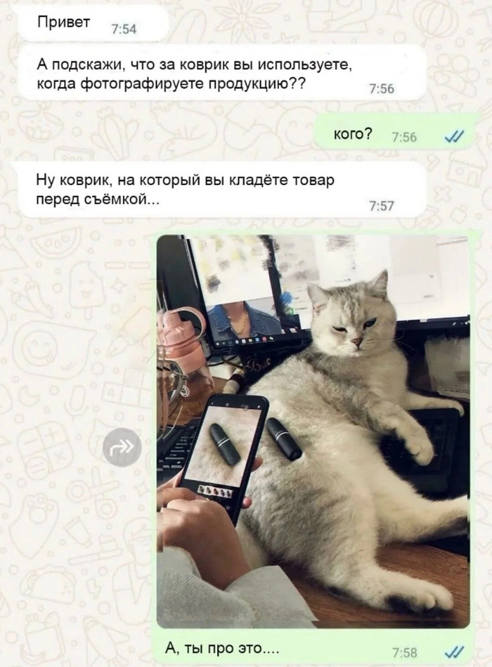 кот-"скептицист"