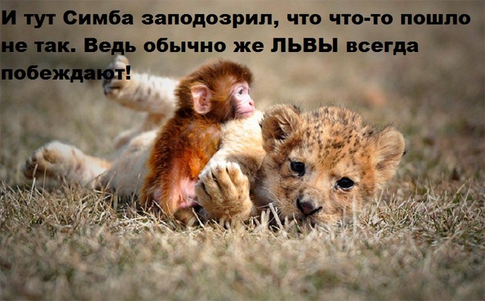  :))