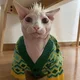 Аватар пользователя TAMbI4