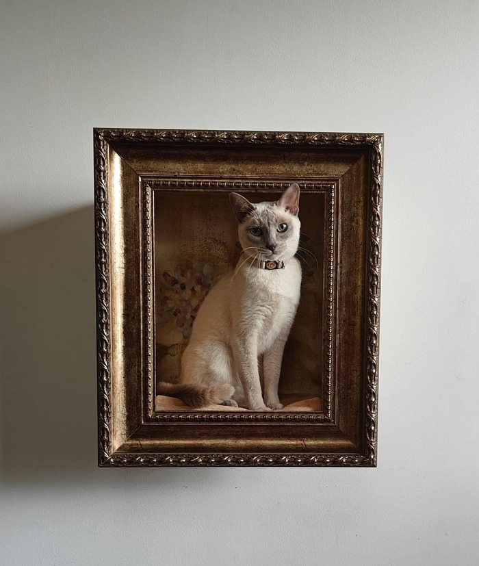    ,         .    ! , , , , , Reddit