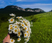 ������� �� ������� �����