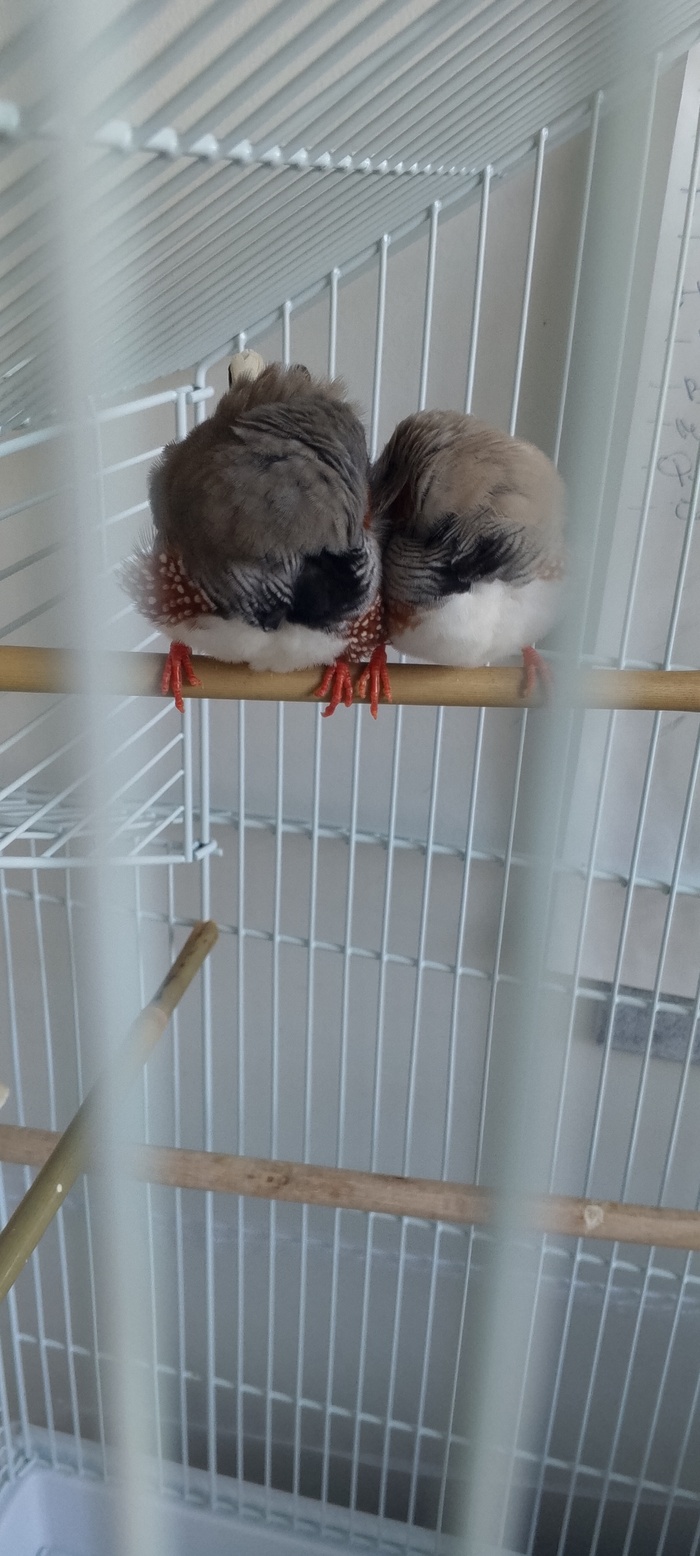     ,  ,  , 
