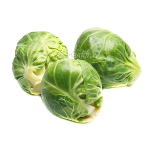            , Sprout Cloverleaf, ,   