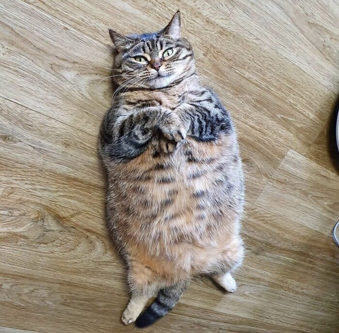              ? , , , , , , ,  ,   , 