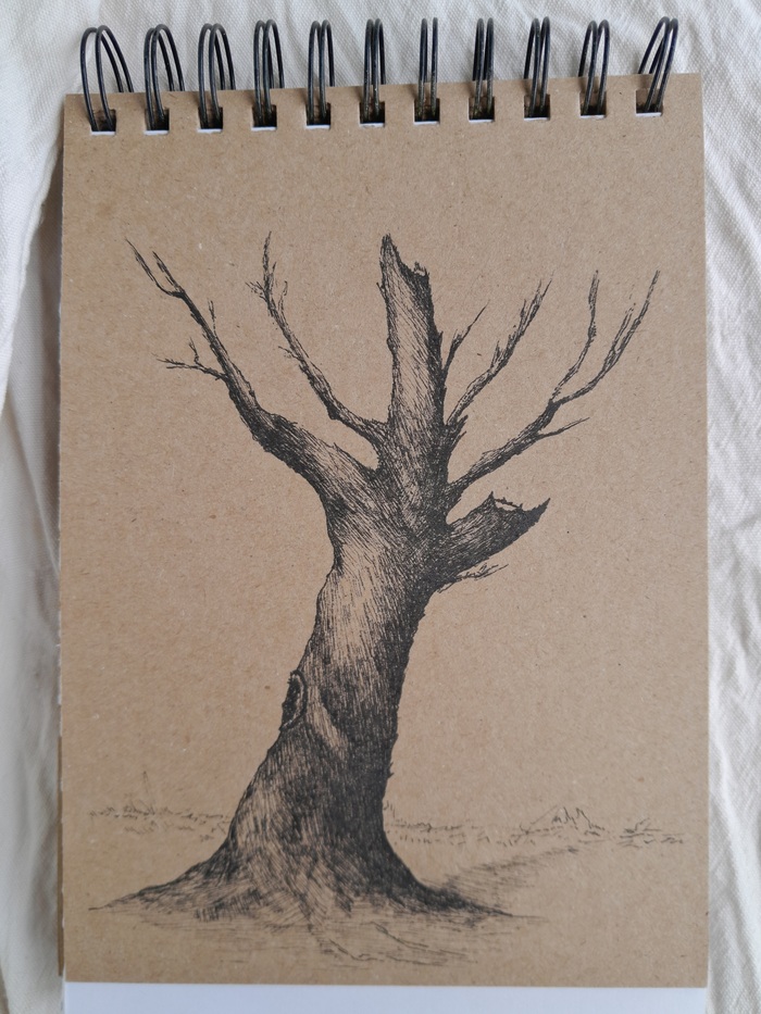 Начало Графика, Начинающий художник, Художник, Рисунок ручкой, Дерево
