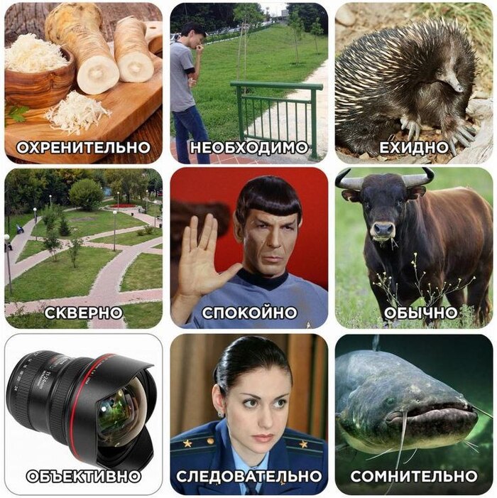     )))) , ,  ,   