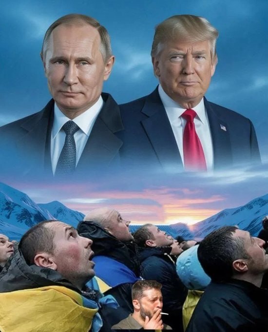     ,   ,  ,  , 