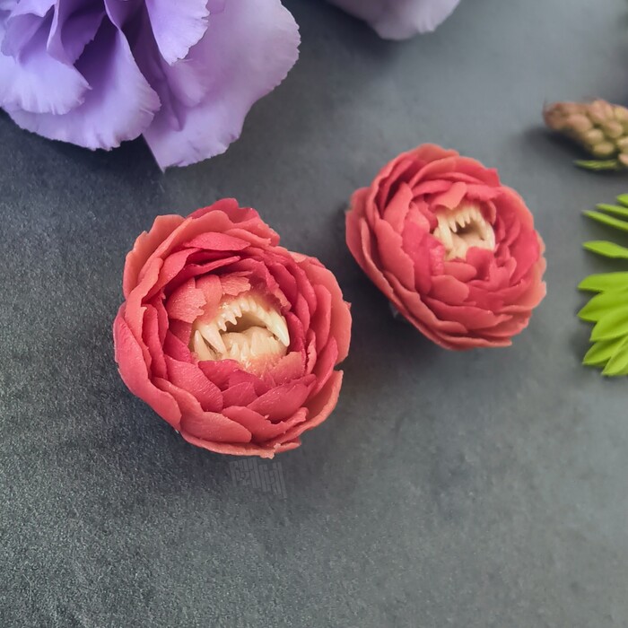 диаметр 2.5-3 см