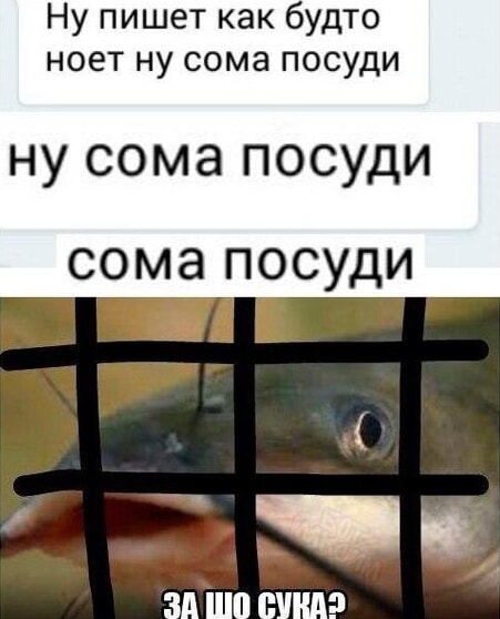   ,  ...