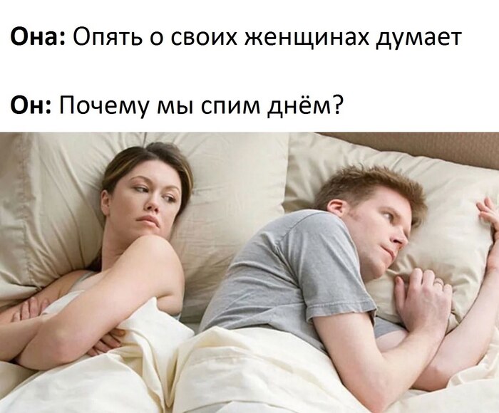  ,   , , Telegram (),      , 