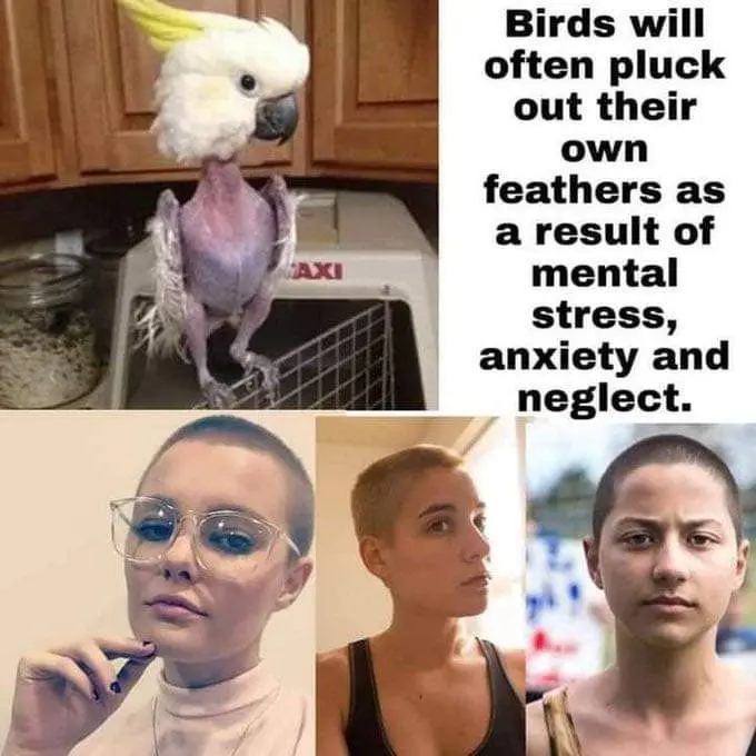    ?   ,  , , , , ,  , , , , 
