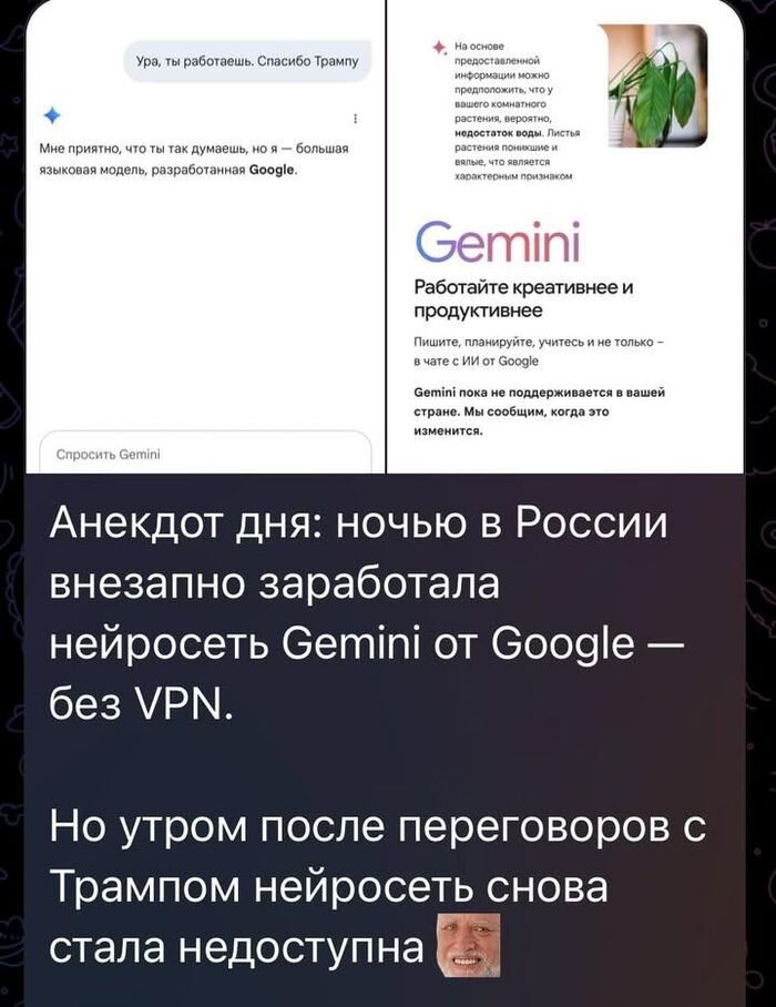   , ,  , Google, Gemini