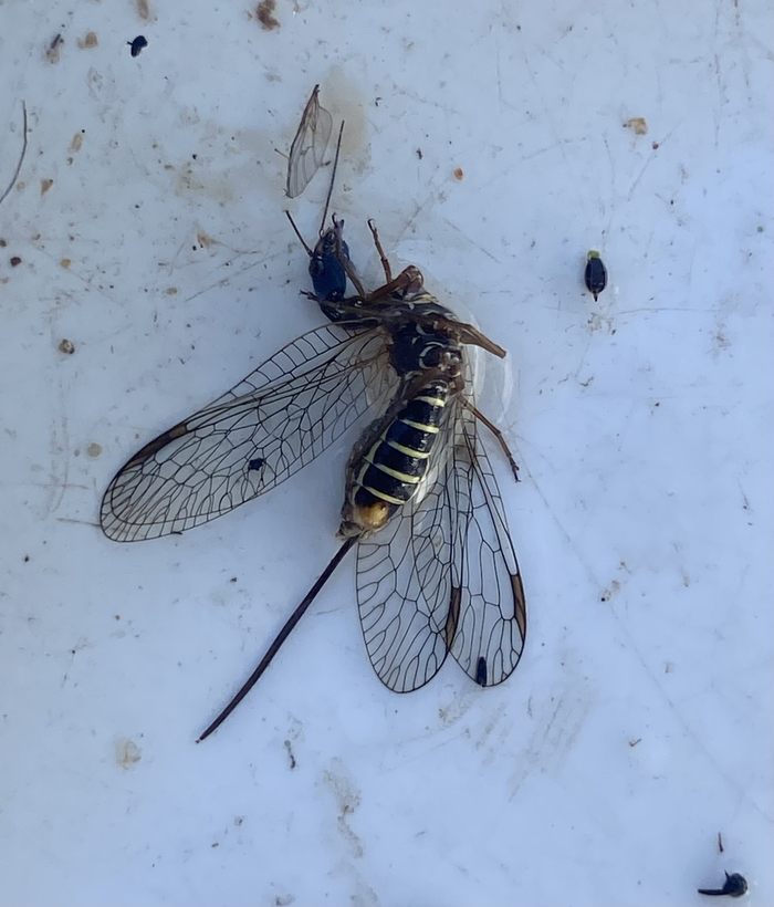       .     ,     ,         .