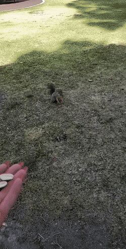    ,   , , , 