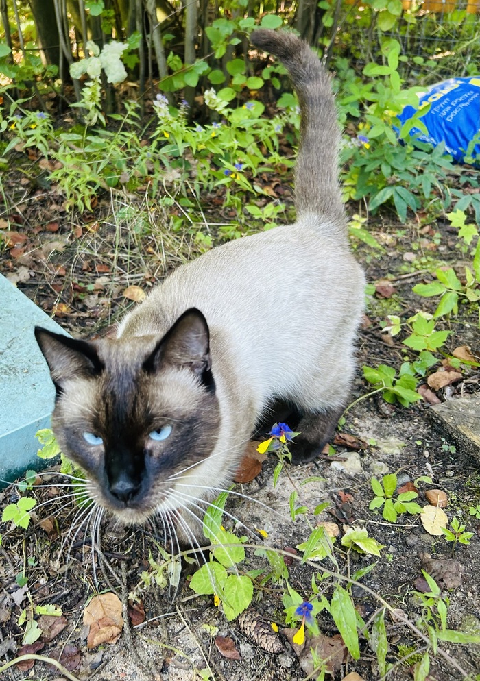  ,  .      . , . ,   , .  - .