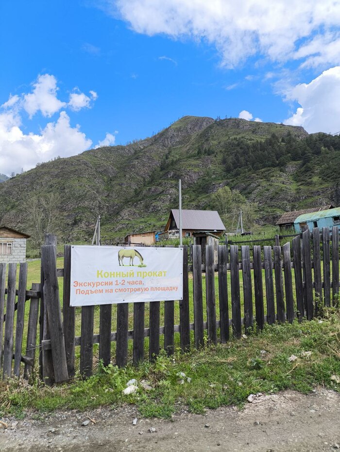 Часовая прогулка - 1500 рублей