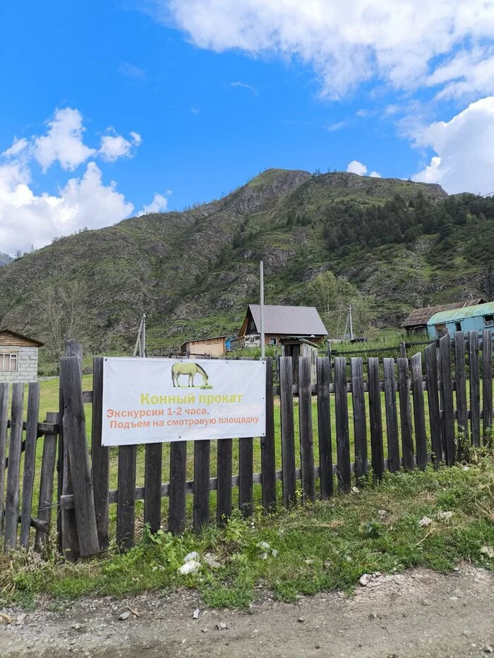 Маленькая жизнь в маленьком селе Республика Алтай, Горы, Планы на лето, Лето, Чемальский район, Длиннопост