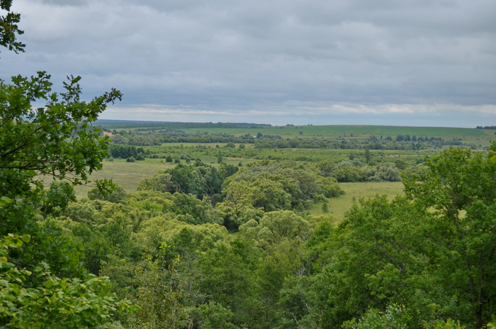 Окрестности пустыни в Шамордино.