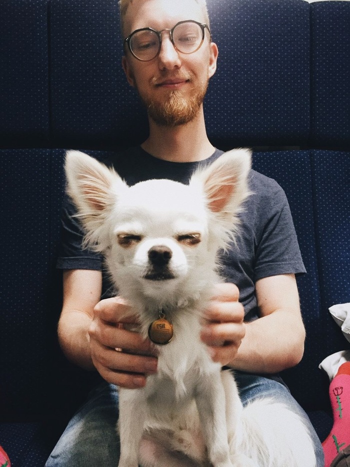  , ,  .     ,             !! ( , -    ,       )