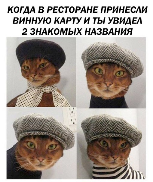    , , ,  