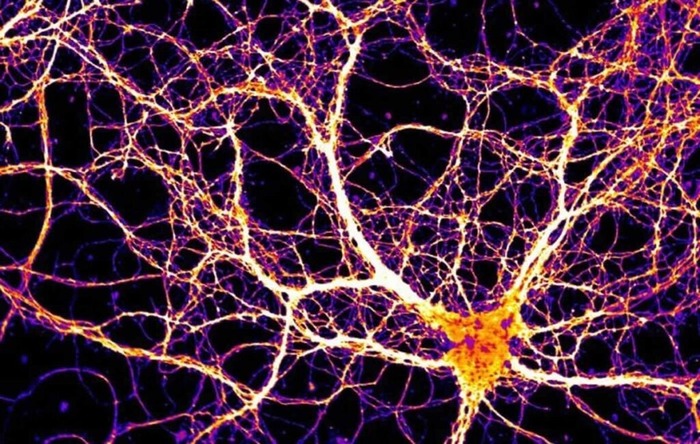  <!--noindex--><a href="https://pikabu.ru/story/vozmozhno_chelovecheskoe_soznanie_poyavilos_blagodarya_drevnemu_virusu_13091069?u=http%3A%2F%2Fneurosciencenews.com&t=neurosciencenews.com&h=f03d63b316fad03088f6ae39848c017f6a88ee63" title="http://neurosciencenews.com" target="_blank" rel="nofollow noopener">neurosciencenews.com</a><!--/noindex-->